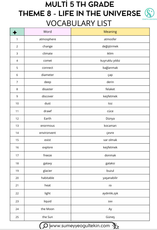 MULTI 5 - THEME 8- VOCABULARY LİST